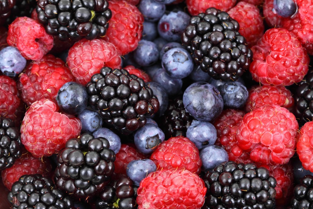 Reife schwarze Brombeeren