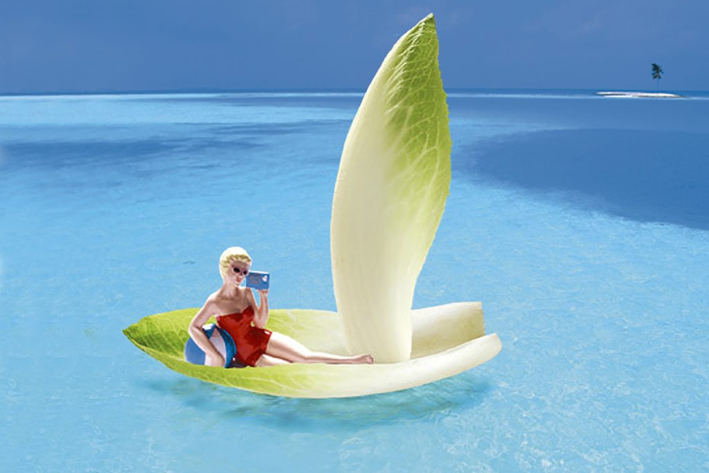 Fotomontage: ein Chicoréeblatt als Segelboot auf dem Meer