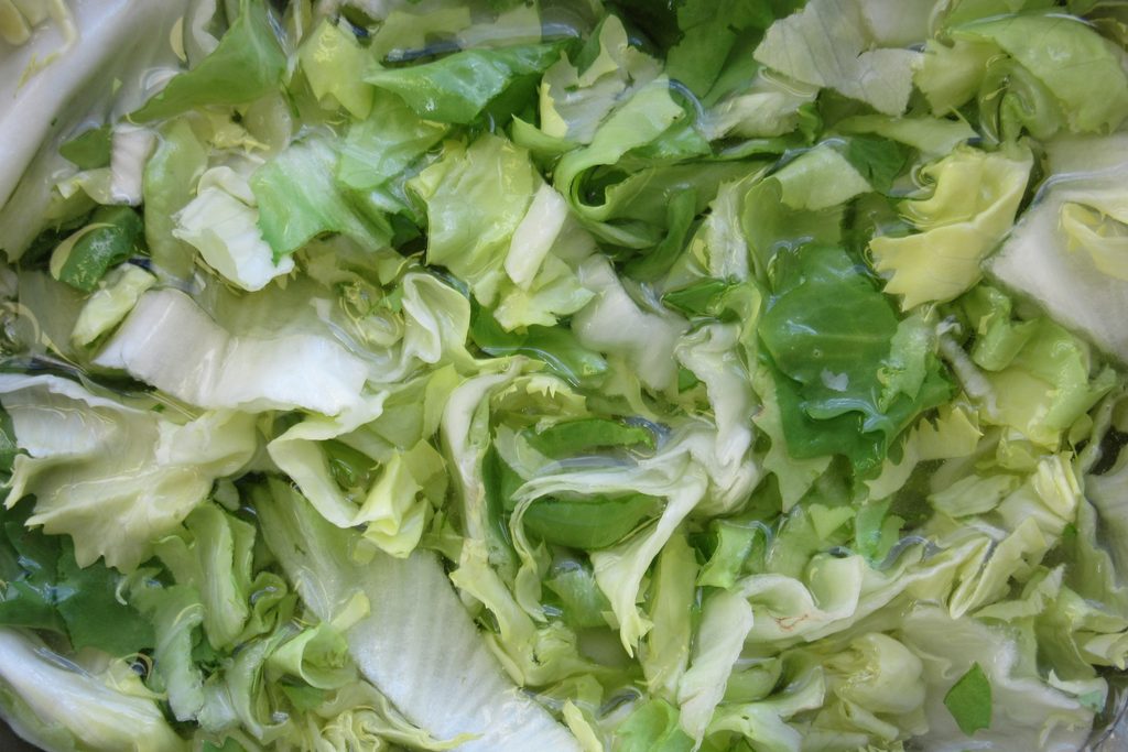 Geschnittener Endiviensalat mit hellgrünen Blättern